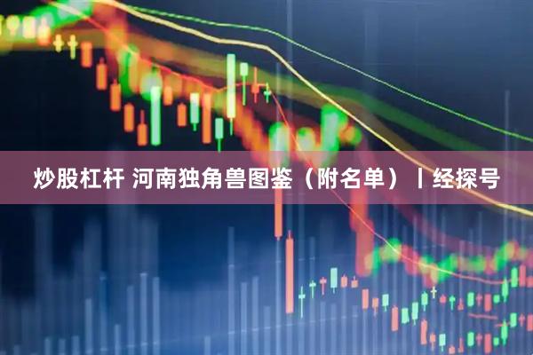炒股杠杆 河南独角兽图鉴（附名单）丨经探号