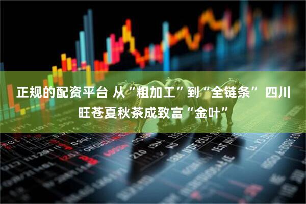 正规的配资平台 从“粗加工”到“全链条” 四川旺苍夏秋茶成致富“金叶”